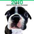 THE DOG ボストン・テリア カレンダー 2010