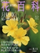 週刊　花百科　月見草と夏の野の黄花（73）