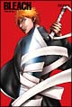 BLEACH　尸魂界　潜入篇　1  