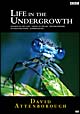 LIFE　IN　THE　UNDERGROWTH／昆虫の世界　DVD－BOX  