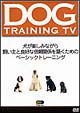 DOG　TRAINING　TV  