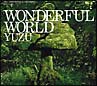 WONDERFUL　WORLD(DVD付)[初回限定盤]