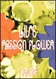 LIVE“Passion　Flower”  