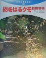 網をはるクモ観察事典