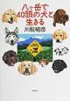 八ケ岳で40頭の犬と生きる