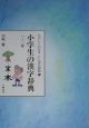 たのしくわかることばの辞典　小学生の漢字辞典（3）