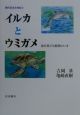 現代日本生物誌　イルカとウミガメ（4）