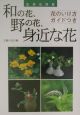 和の花、野の花、身近な花