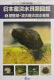 日本産淡水貝類図鑑　琵琶湖・淀川産の淡水貝類（1）