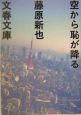 空から恥が降る