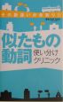 似たもの動詞使い分けクリニック