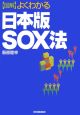 〈図解〉よくわかる日本版SOX法