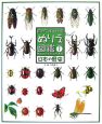 自分で仕上げるぬりえ図鑑　シリーズ1　日本の昆虫