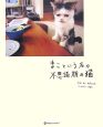 まこという名の不思議顔の猫