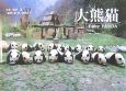 大熊猫　赤ちゃんパンダ
