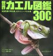 世界カエル図鑑　300種