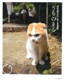 うちのまる　養老孟司先生と猫の営業部長