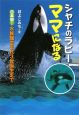 シャチのラビーママになる