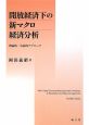 開放経済下の新マクロ経済分析