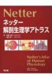 ネッター解剖生理学アトラス