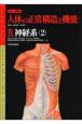 カラー図解・人体の正常構造と機能　神経系（9）