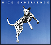 EXPERIENCE(DVD付)[初回限定盤]