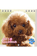 プチCALENDAR　わん　2011