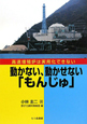動かない、動かせない「もんじゅ」