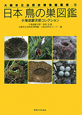 日本鳥の巣図鑑