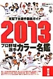 プロ野球　選手カラー名鑑＜保存版＞　2013