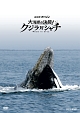 NHKスペシャル　大海原の決闘！　クジラ対シャチ  