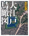 大江戸鳥瞰図