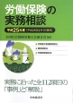 労働保険の実務相談　平成25年4月1日