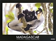 MADAGASCAR　写真集