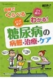 糖尿病の病態・治療・ケア　糖尿病ケア秋季増刊　2013