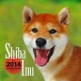柴犬カレンダー　2014