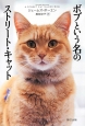 ボブという名のストリート・キャット