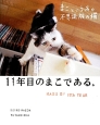 まこという名の不思議顔の猫　11年目のまこである。