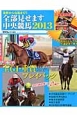 金杯から有馬まで！！全部見せます中央競馬　2013