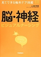 脳・神経ビジュアルナーシング