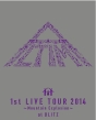 1st　LIVE　at　BLITZ　2014〜Mountain　Explosion〜  [初回限定盤]