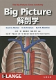 Big　Picture解剖学
