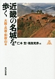 近畿の名城を歩く　大阪・兵庫・和歌山編