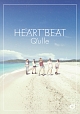 HEARTBEAT（豪華盤）(DVD付)