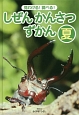 見わける！調べる！しぜんかんさつずかん　夏