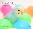 かわいんこインコと小鳥のカレンダー　2017