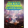 ナオト・インティライミ　LIVE　キャラバン　2013　＠　ARENA　Nice　catch　the　moment　！  [期間限定盤]