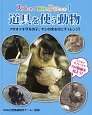 道具を使う動物　フサオマキザルの子、ヤシの実わりにチャレンジ！　スゴいぞ！動物の子どもたち1