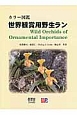 カラー図鑑・世界観賞用野生ラン