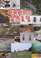 奄美群島の外来生物